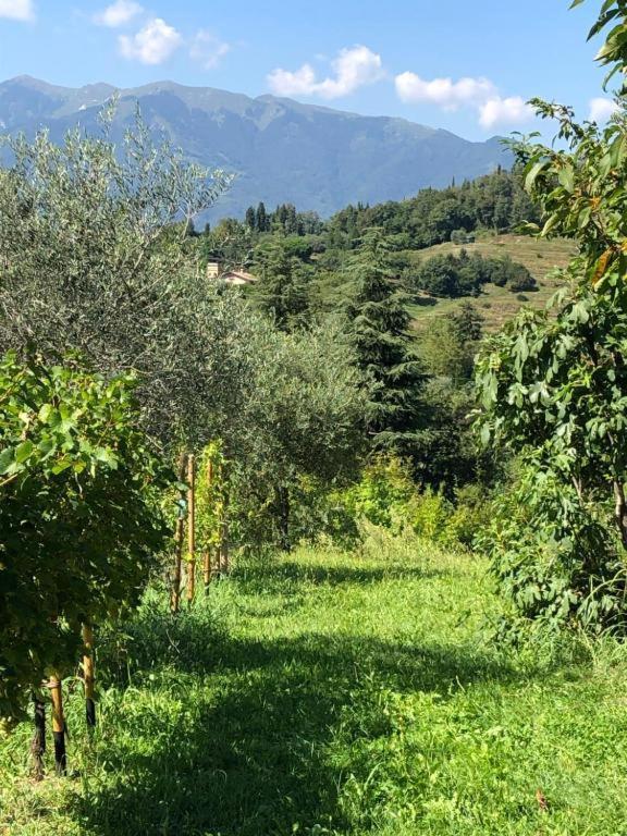Apartmán Casa Bembo Asolo Exteriér fotografie